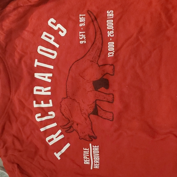 Old Navy | Bundle of 4 Toddler Long-Sleeved Tees | 4T - Picture 5 of 6